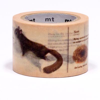 encyclopedia / flying squirrel