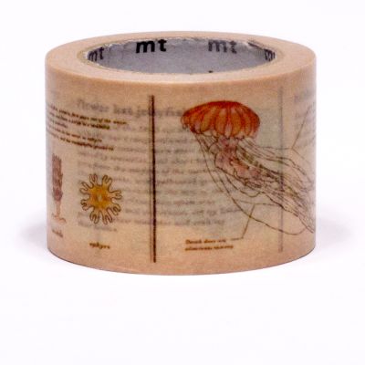 encyclopedia / jellyfish